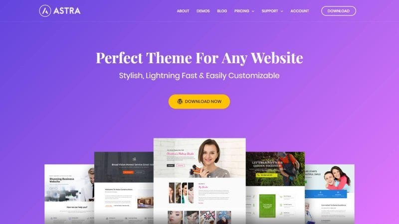 Astra Theme